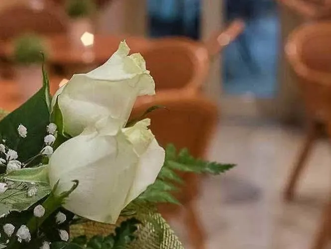 Ξενοδοχείο Center 3 3*